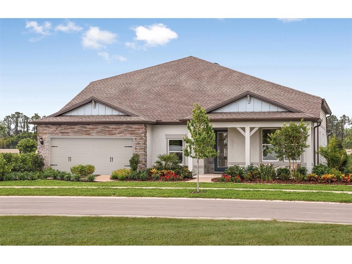 20876 Drake Elm Drive Land O Lakes FL 34638 TB8312225 image1