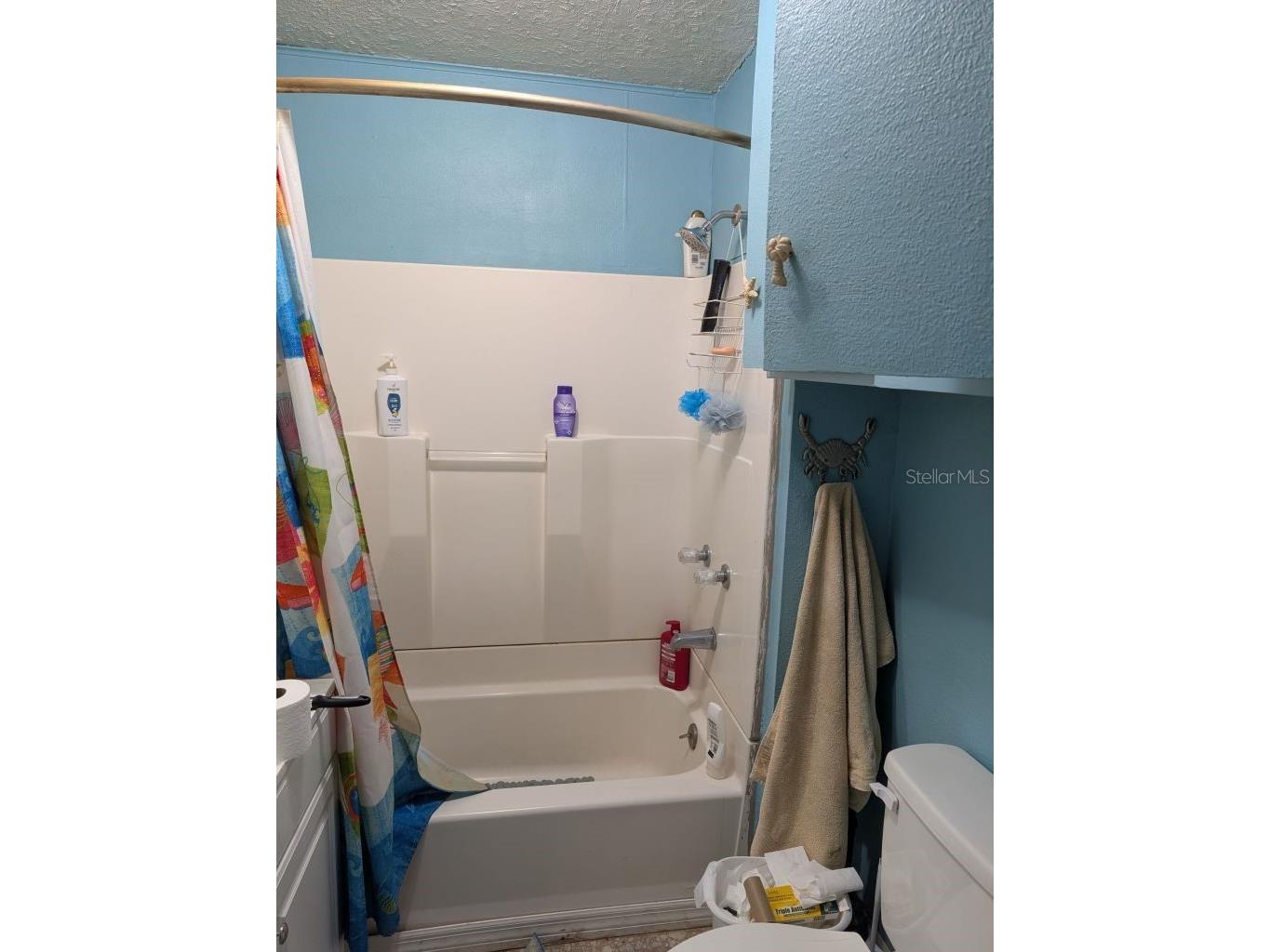 20877 SE 143rd Place Umatilla FL 32784 A4699390 image23