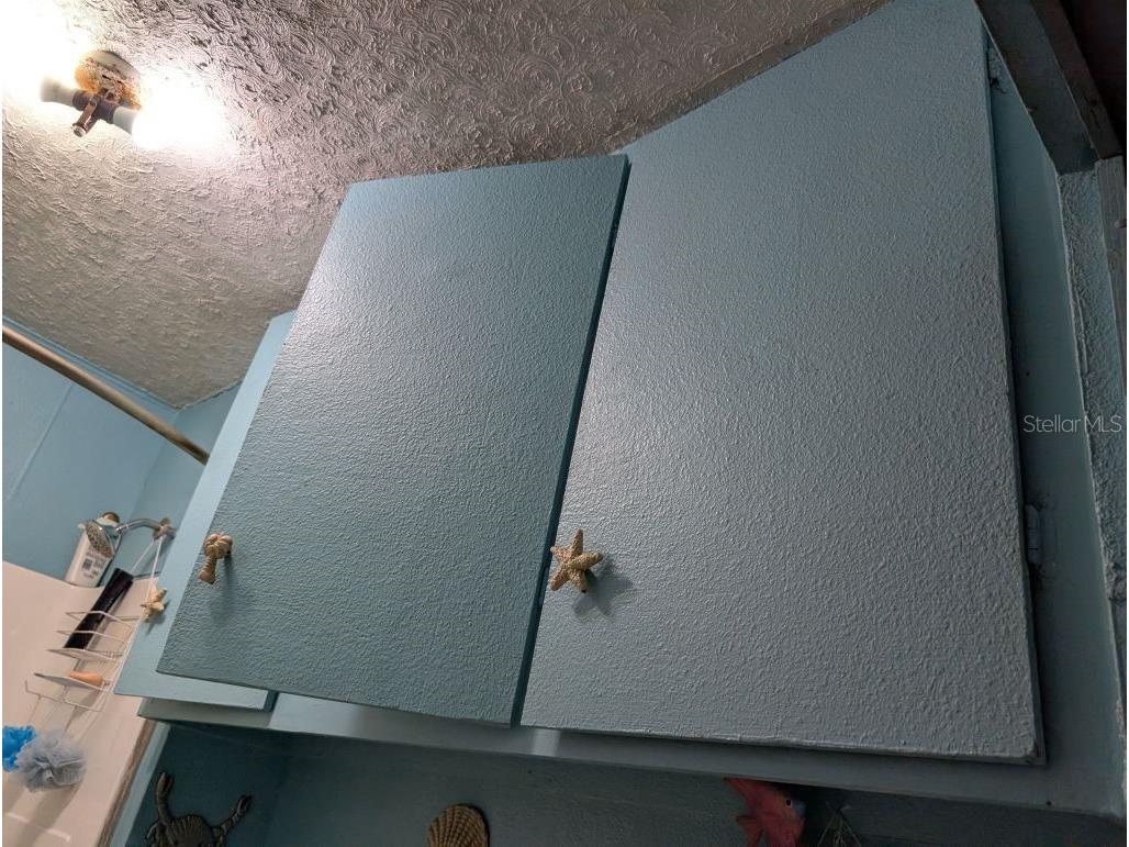 20877 SE 143rd Place Umatilla FL 32784 A4699390 image24