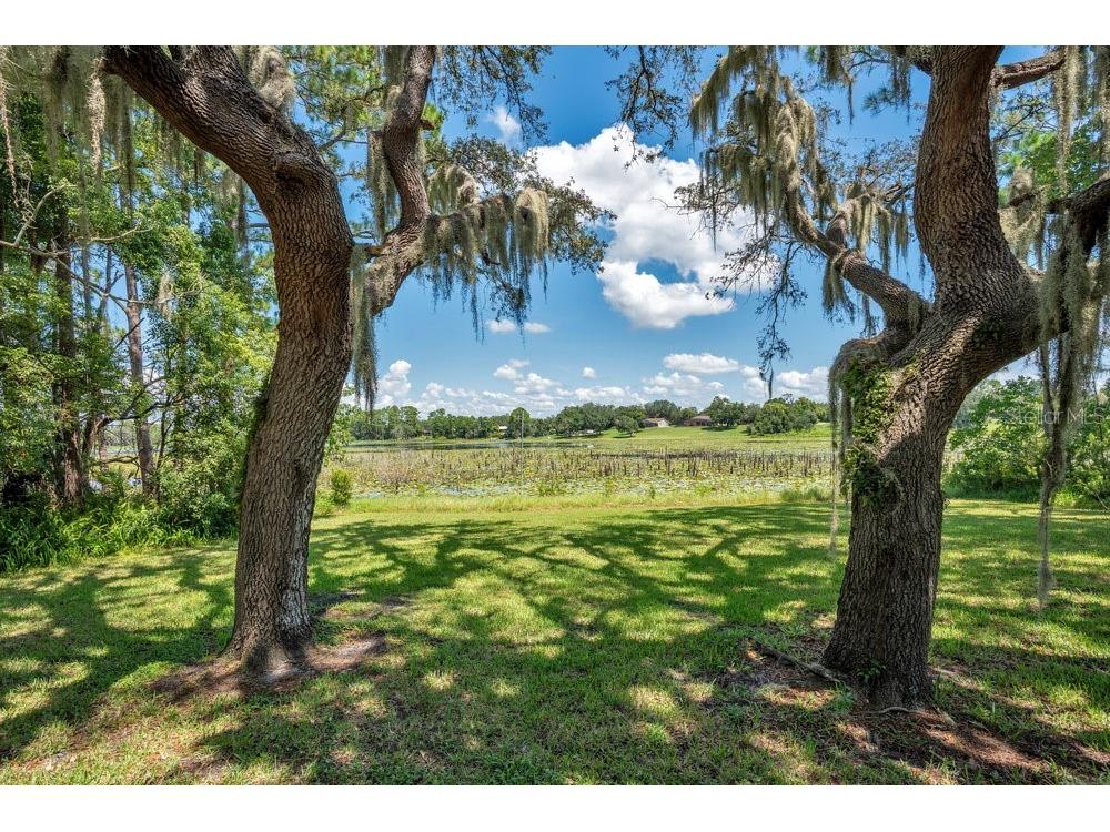 2088 Golden Arm Road Deltona FL 32738 - SIDNEY LAKE & BIG LAKE & DIAN O6333964 image37