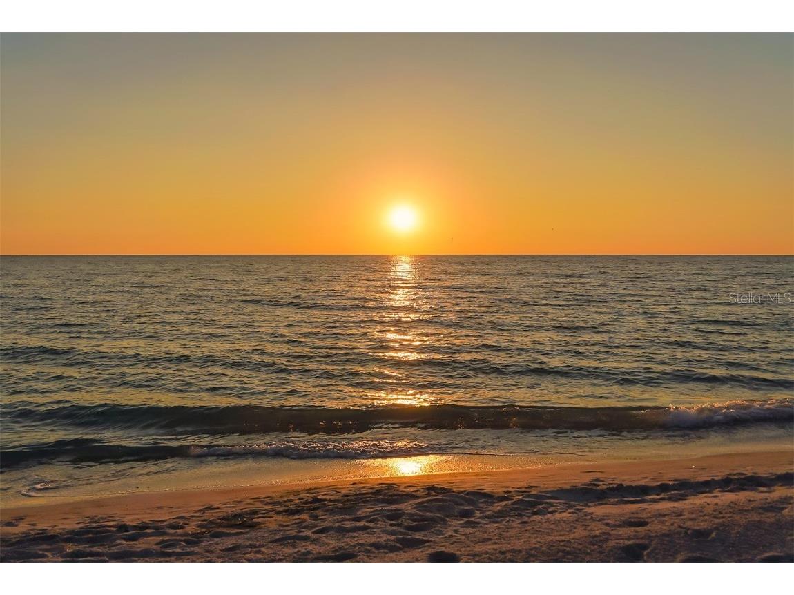 2088 Grove Street Sarasota FL 34239 A4656524 image35