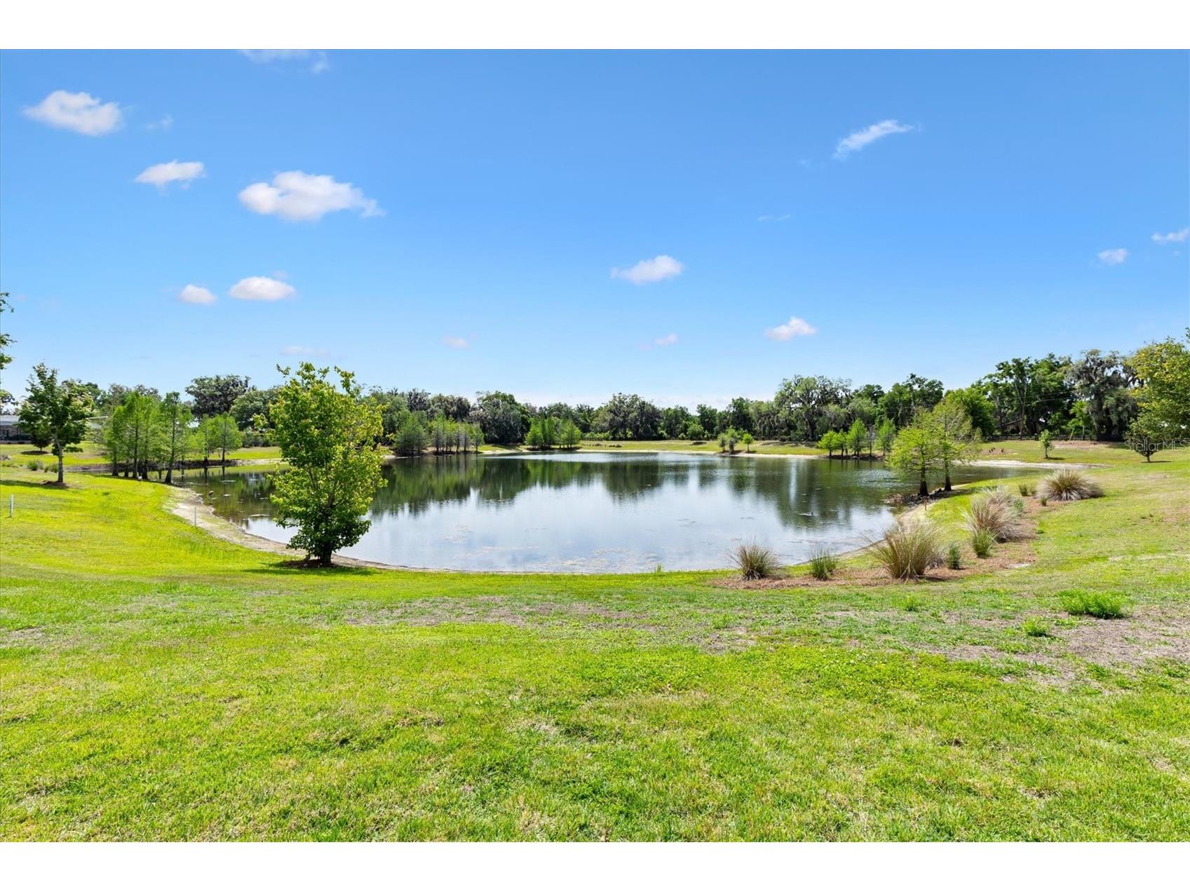 2088 Vision Court The Villages FL 32163 G5110639 image3
