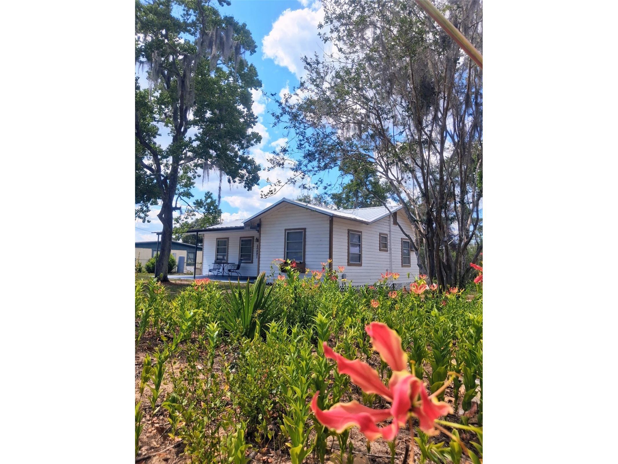 20881 SE 142nd Place Umatilla FL 32784 O6395585 image1