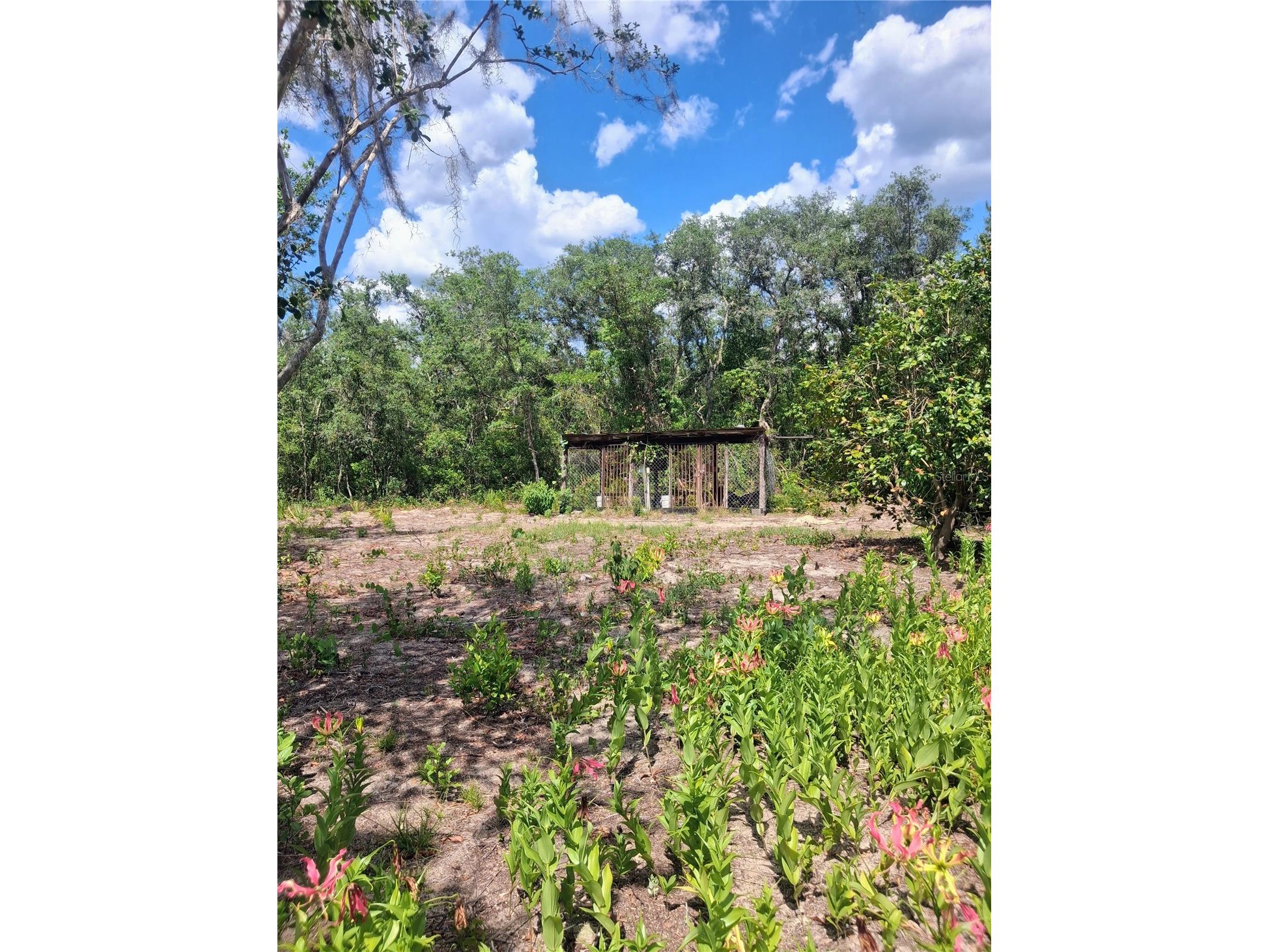 20881 SE 142nd Place Umatilla FL 32784 O6395585 image27