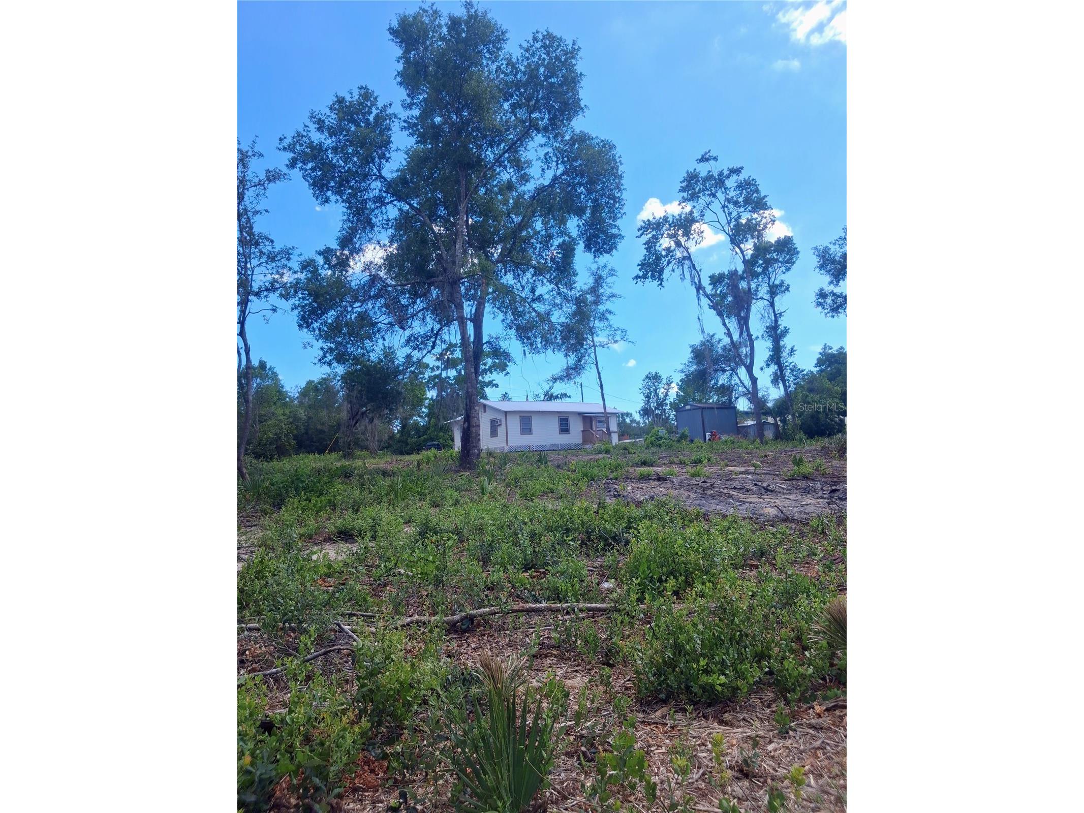 20881 SE 142nd Place Umatilla FL 32784 O6395585 image28