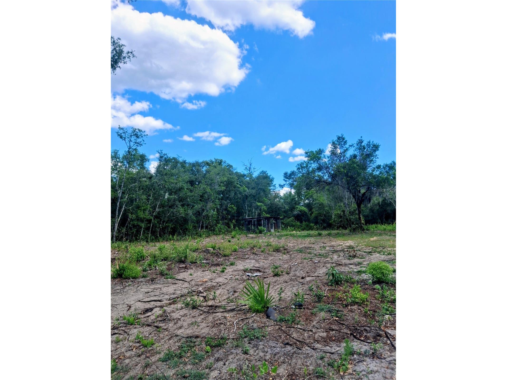 20881 SE 142nd Place Umatilla FL 32784 O6395585 image29