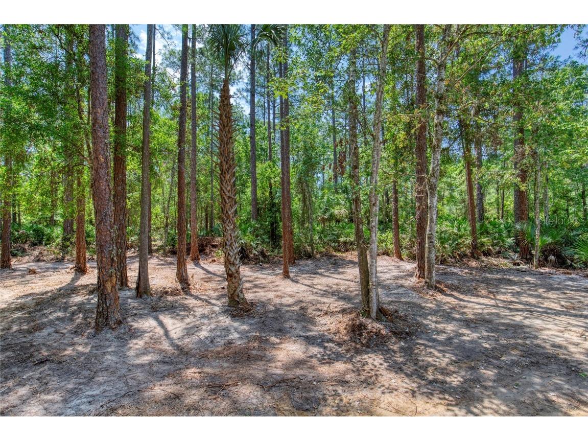 2089 Guava Lane Bunnell FL 32110 V4942670 image38