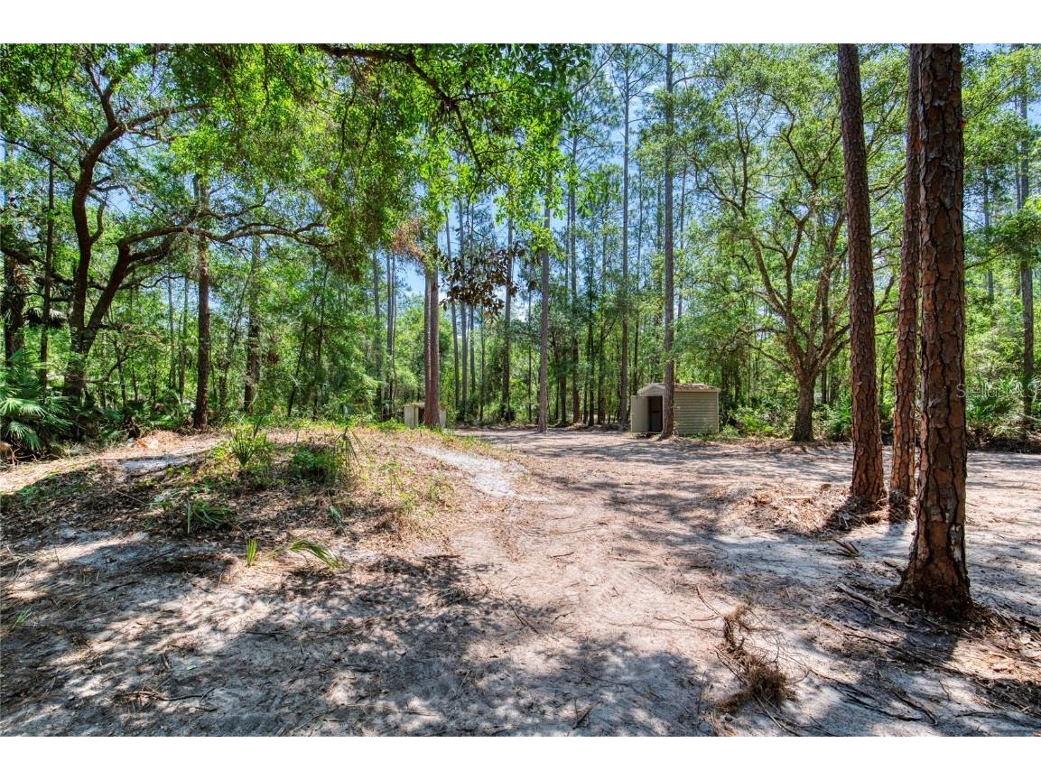 2089 Guava Lane Bunnell FL 32110 V4942670 image43