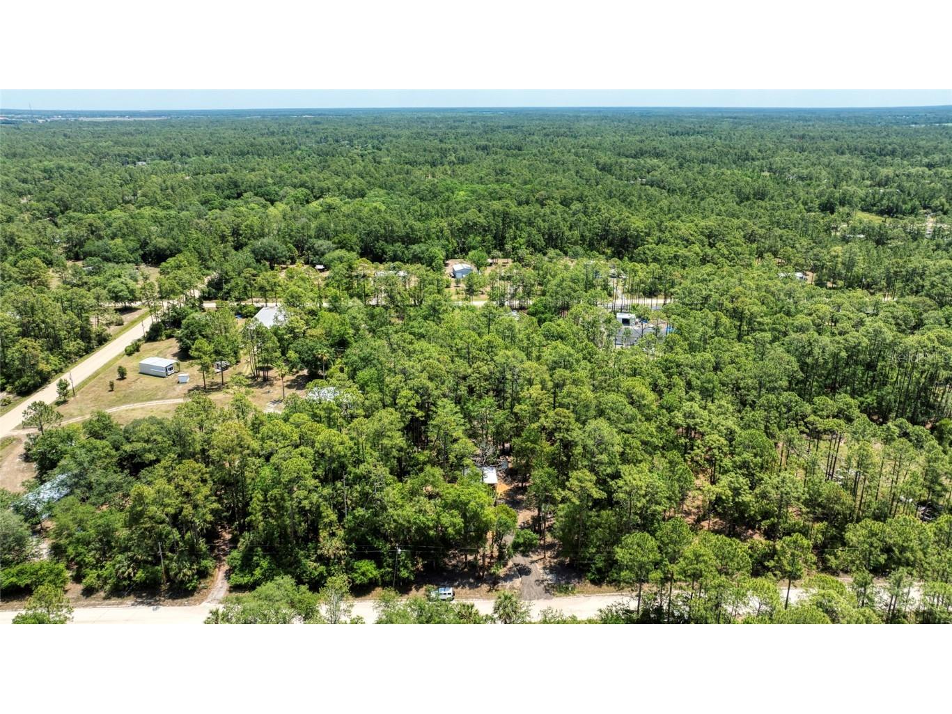 2089 Guava Lane Bunnell FL 32110 V4942670 image48