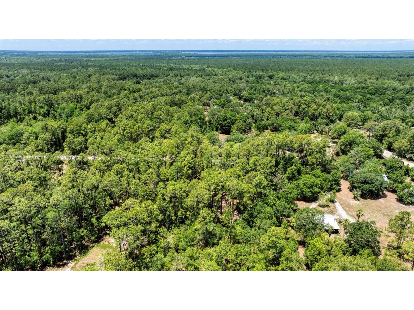 2089 Guava Lane Bunnell FL 32110 V4942670 image52