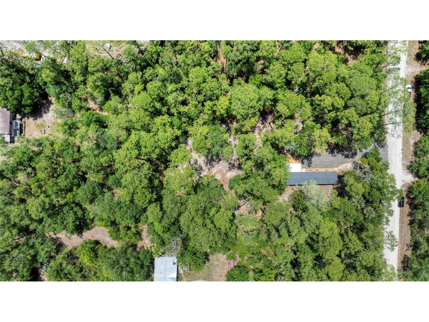 2089 Guava Lane Bunnell FL 32110 V4942670 image56