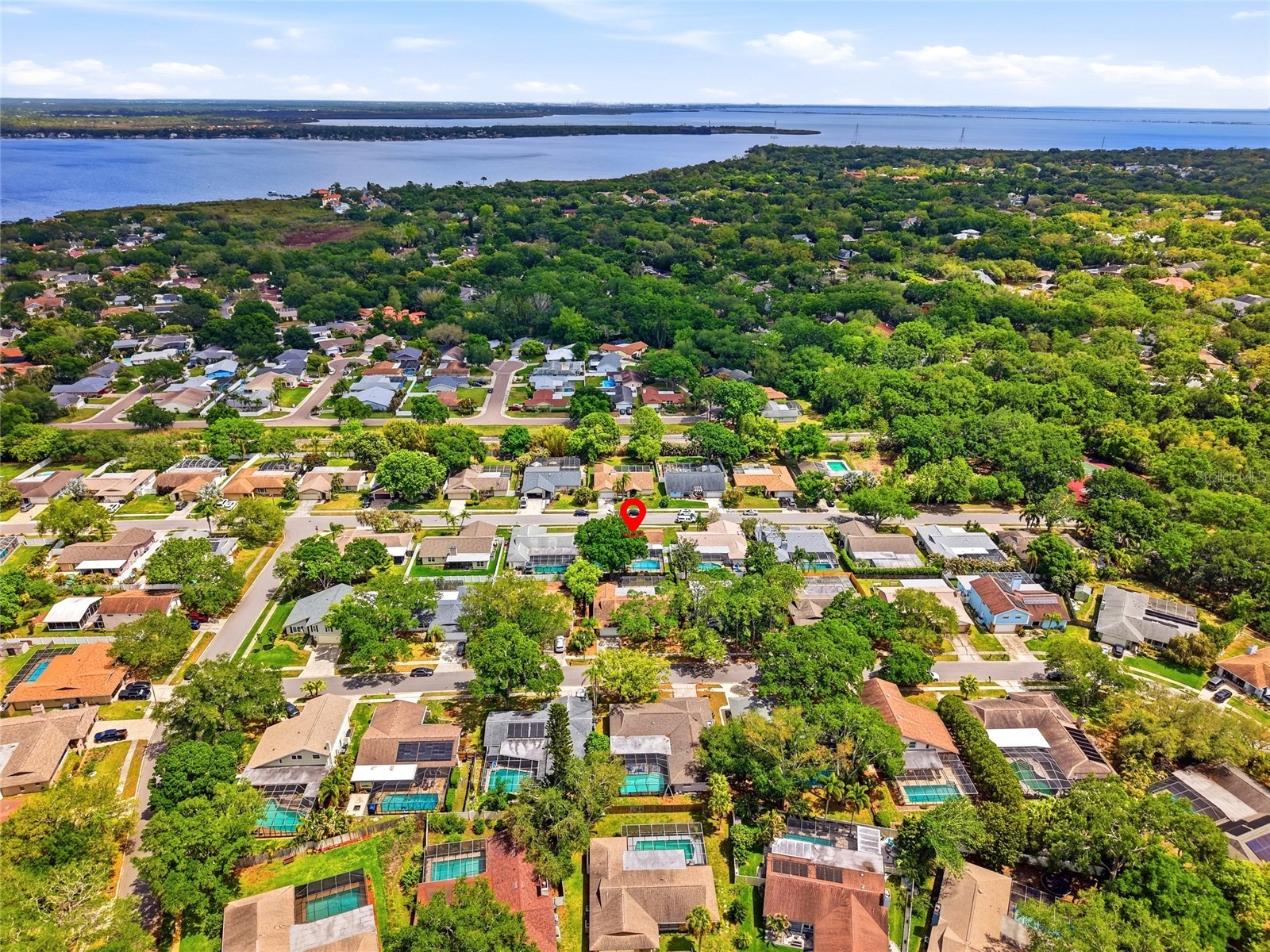 2089 Swan Lane Safety Harbor FL 34695 TB8496442 image47