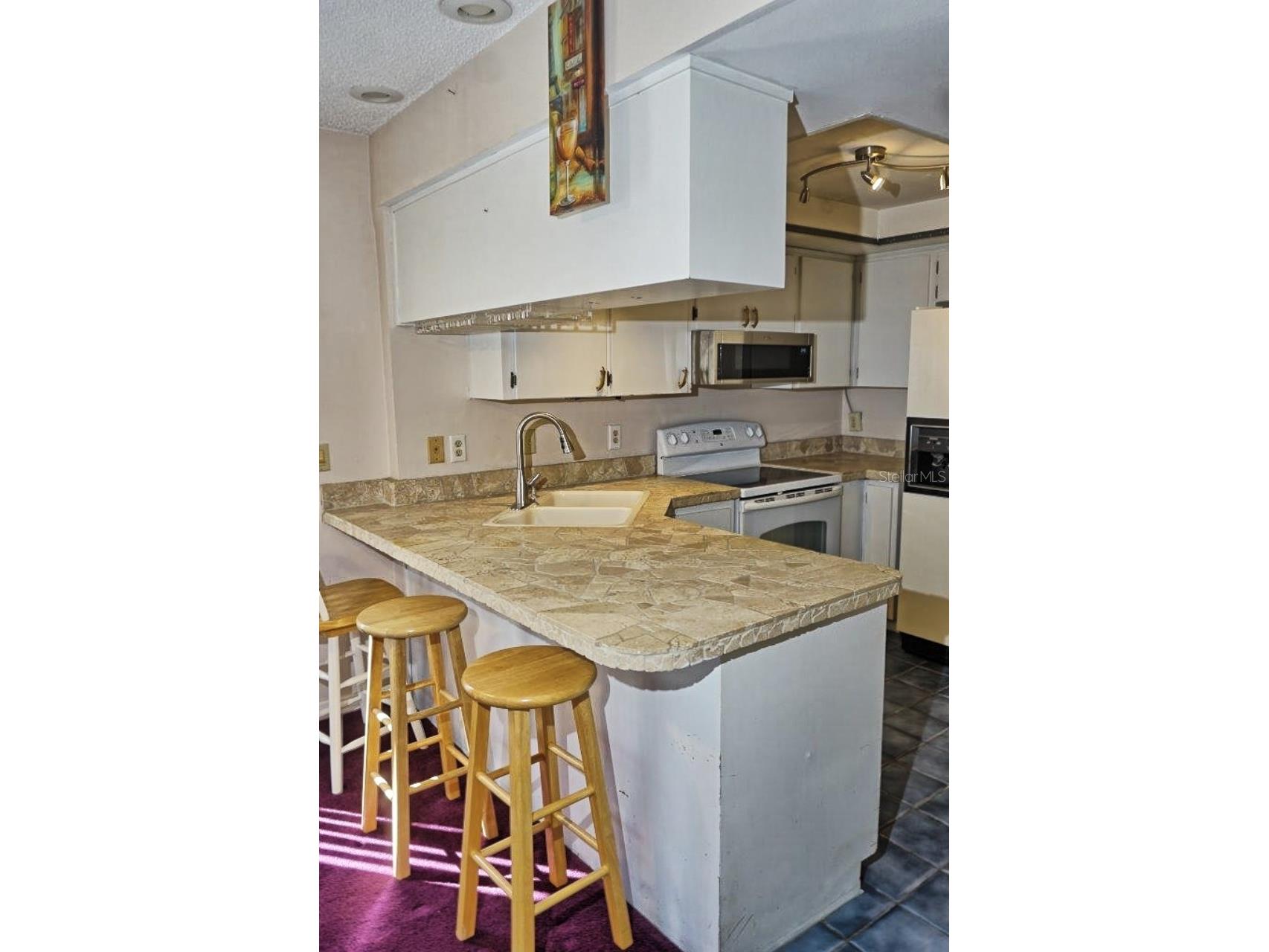 20890 Negril Court #R1 Lutz FL 33558 W7880352 image10