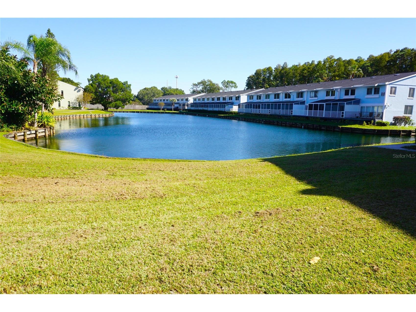 20890 Negril Court #R1 Lutz FL 33558 W7880352 image3