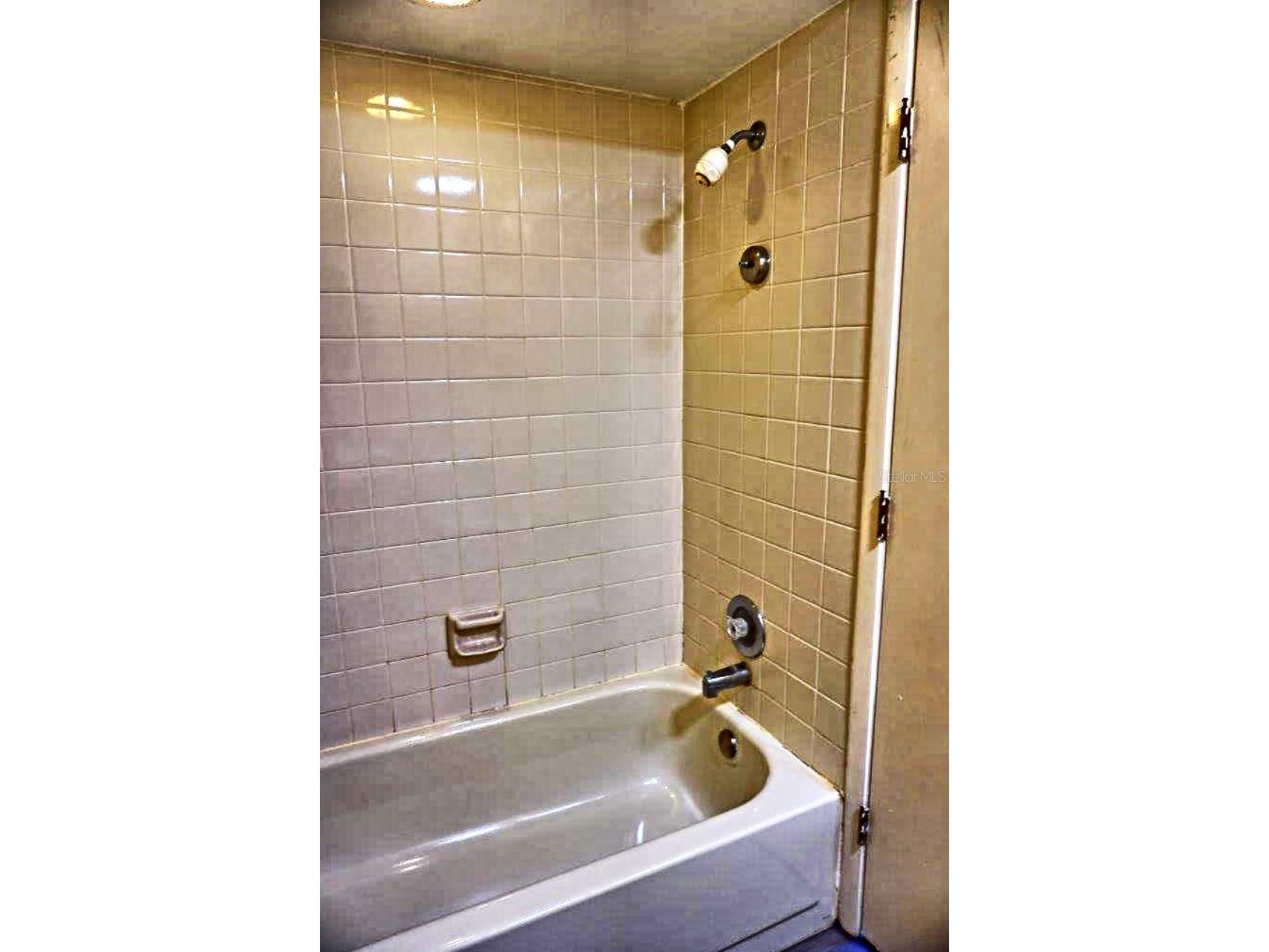 20890 Negril Court #R1 Lutz FL 33558 W7880352 image32