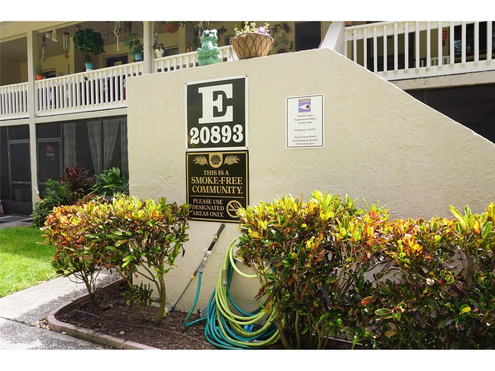 20893 Haulover Cove #8 Lutz FL 33558 W7878831 image2