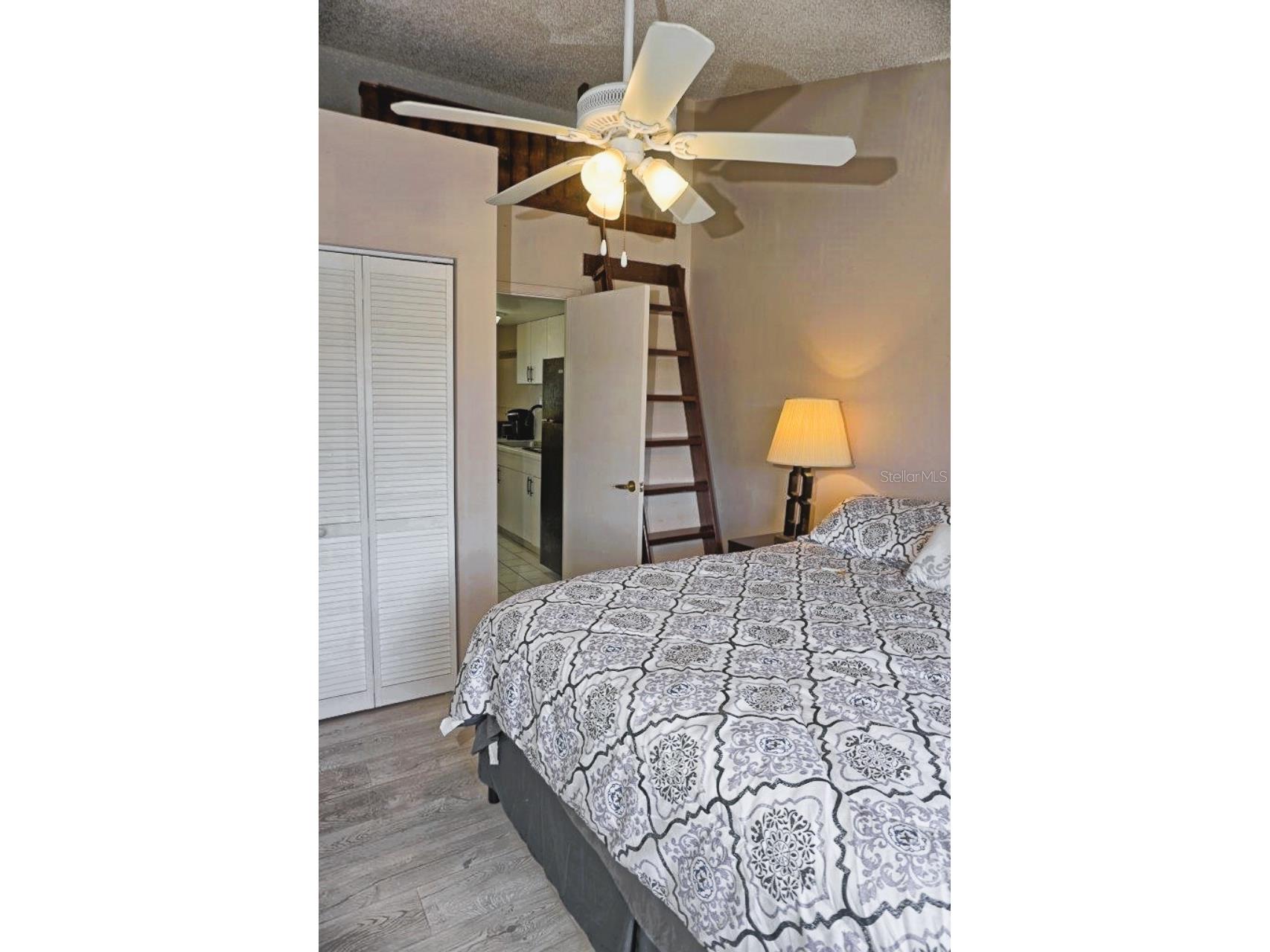 20893 Haulover Cove #8 Lutz FL 33558 W7878831 image23