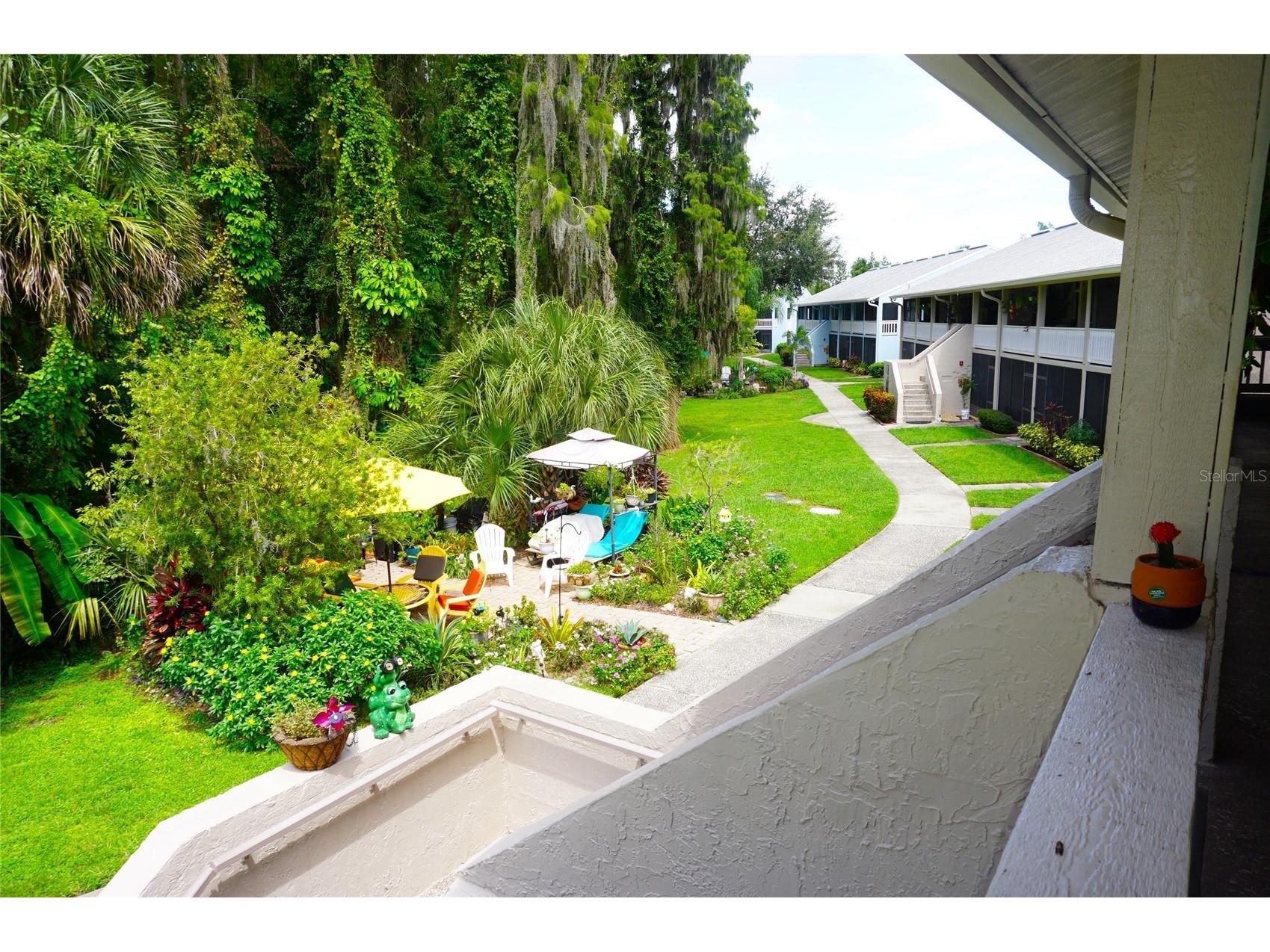 20893 Haulover Cove #8 Lutz FL 33558 W7878831 image28