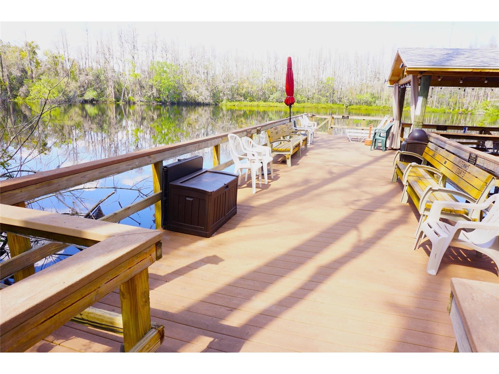 20893 Haulover Cove #8 Lutz FL 33558 W7878831 image31