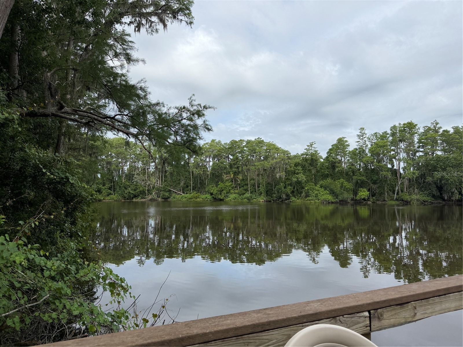 20893 Haulover Cove #E 2 Lutz FL 33558 W7886441 image29