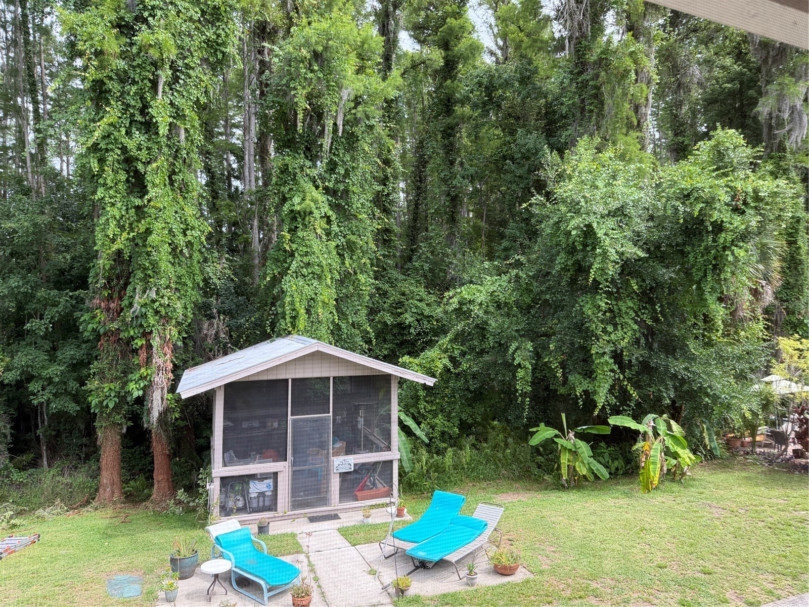 20893 Haulover Cove #E 2 Lutz FL 33558 W7886441 image33