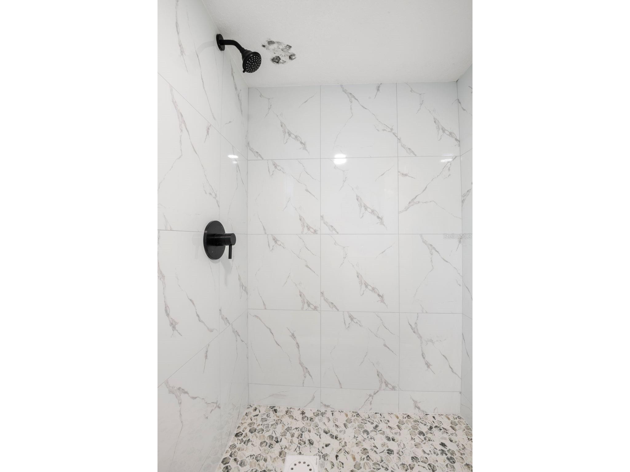 209 12th Avenue N Saint Petersburg FL 33704 TB8463738 image10