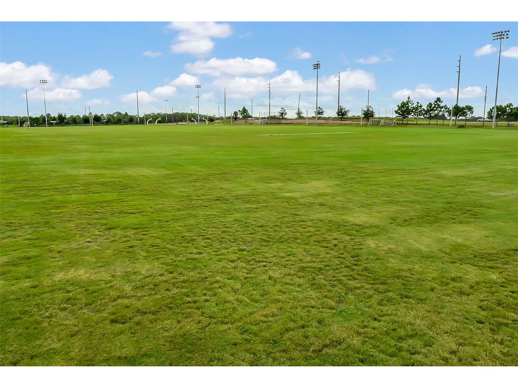 209 Cimarron Drive Kissimmee FL 34759 O6395162 image51
