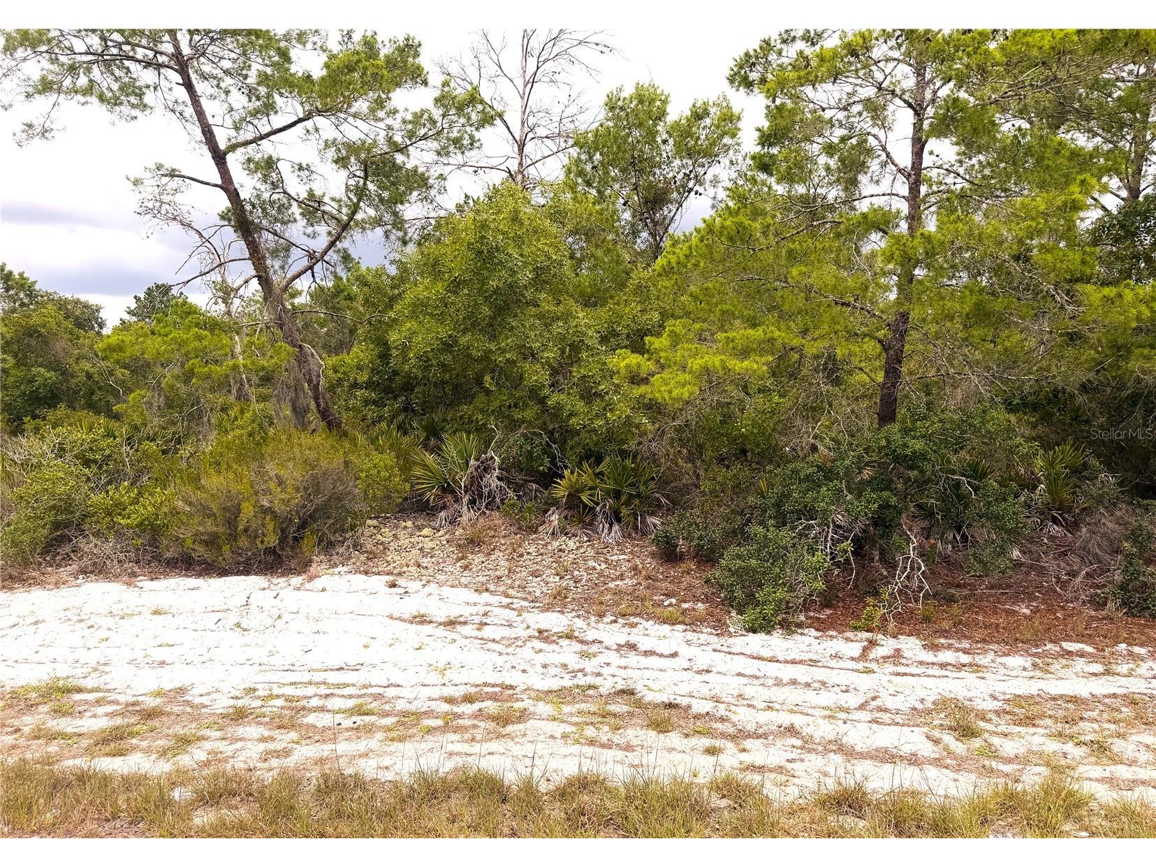 209 Coolidge Avenue NE Lake Placid FL 33852 L4962634 image1