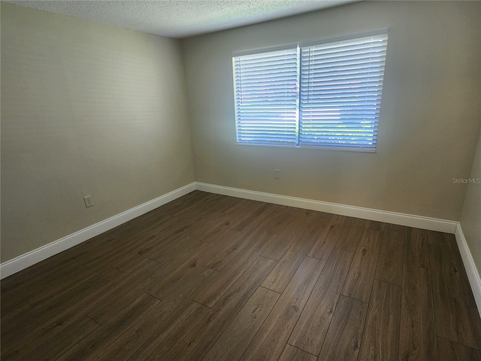 209 Corkwood Ln Oldsmar FL 34677 TB8396745 image11