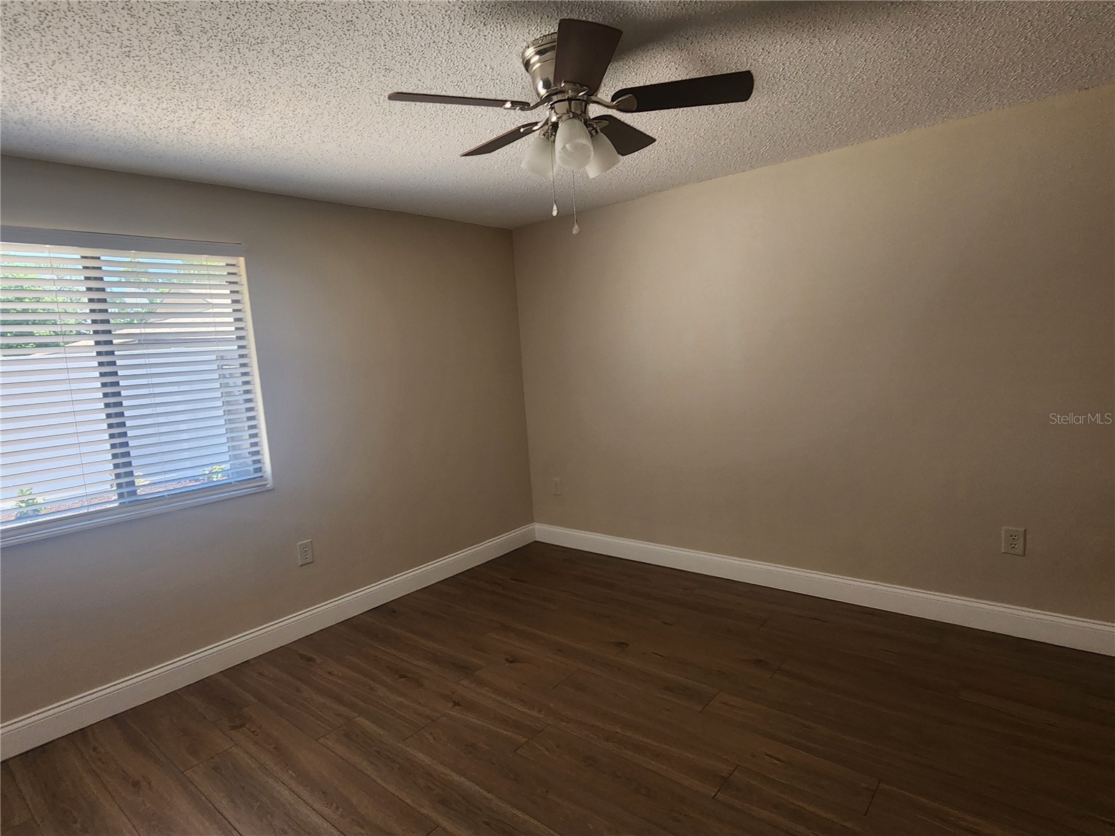 209 Corkwood Ln Oldsmar FL 34677 TB8396745 image12