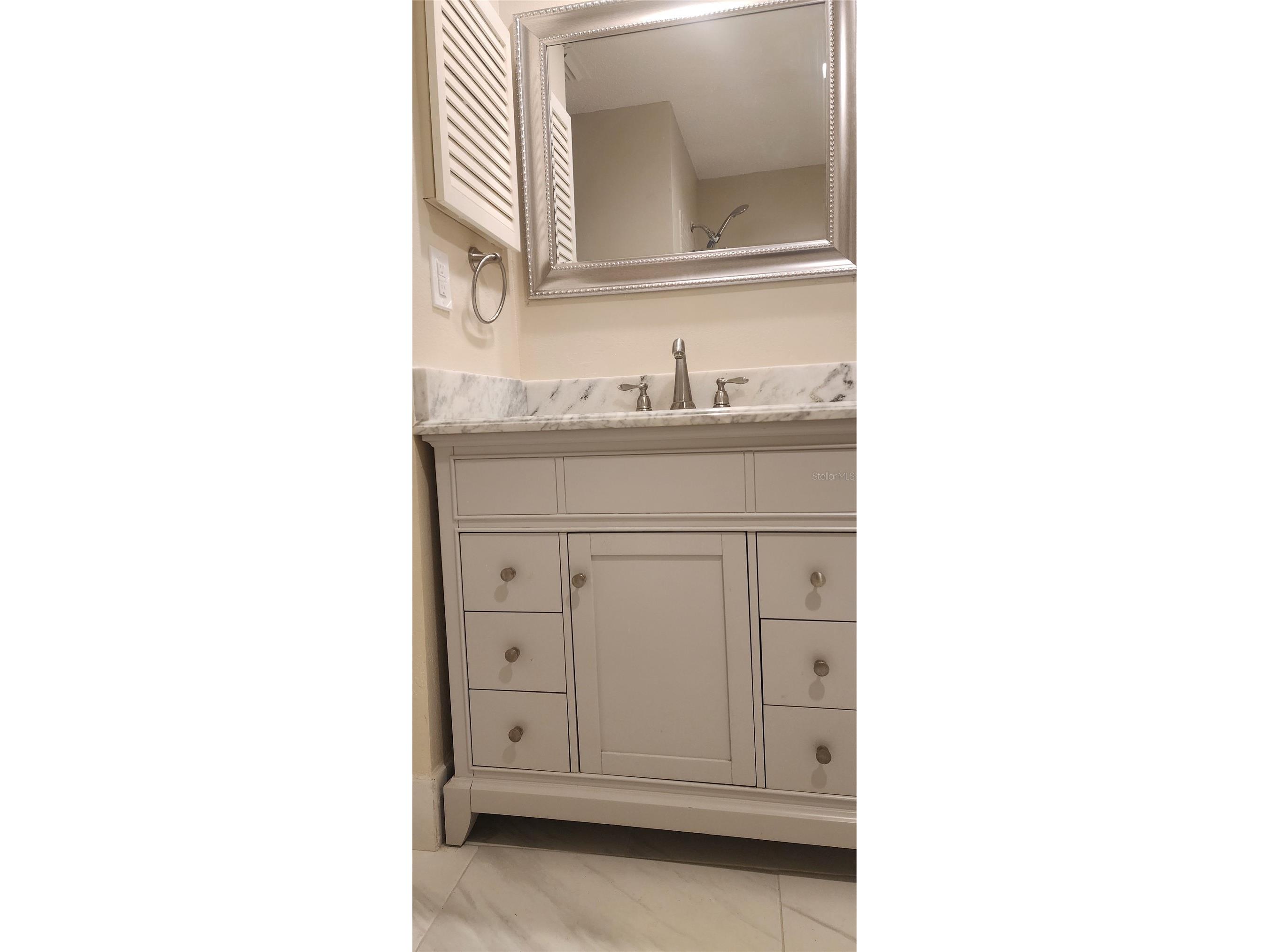 209 Corkwood Ln Oldsmar FL 34677 TB8396745 image15