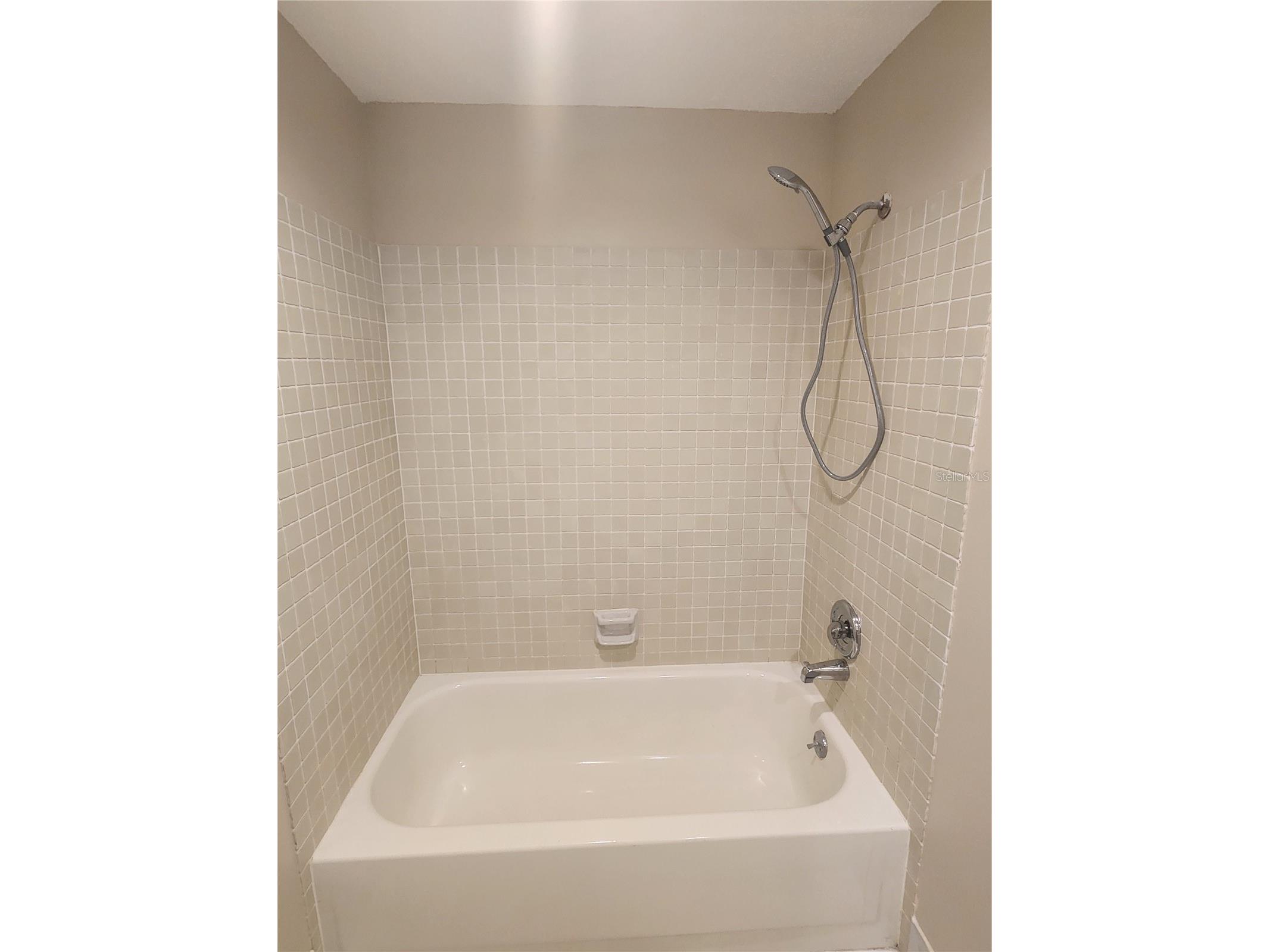 209 Corkwood Ln Oldsmar FL 34677 TB8396745 image16