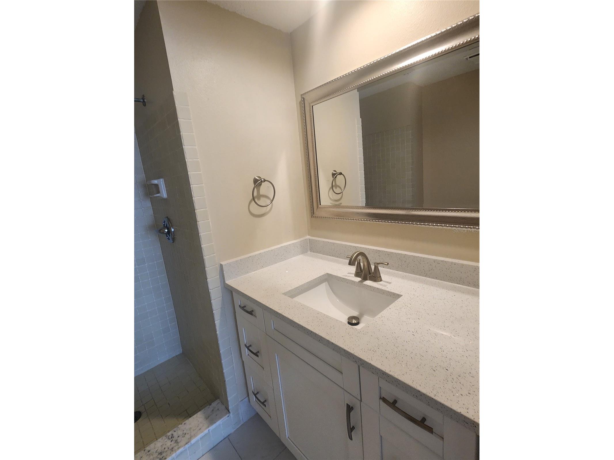 209 Corkwood Ln Oldsmar FL 34677 TB8396745 image19