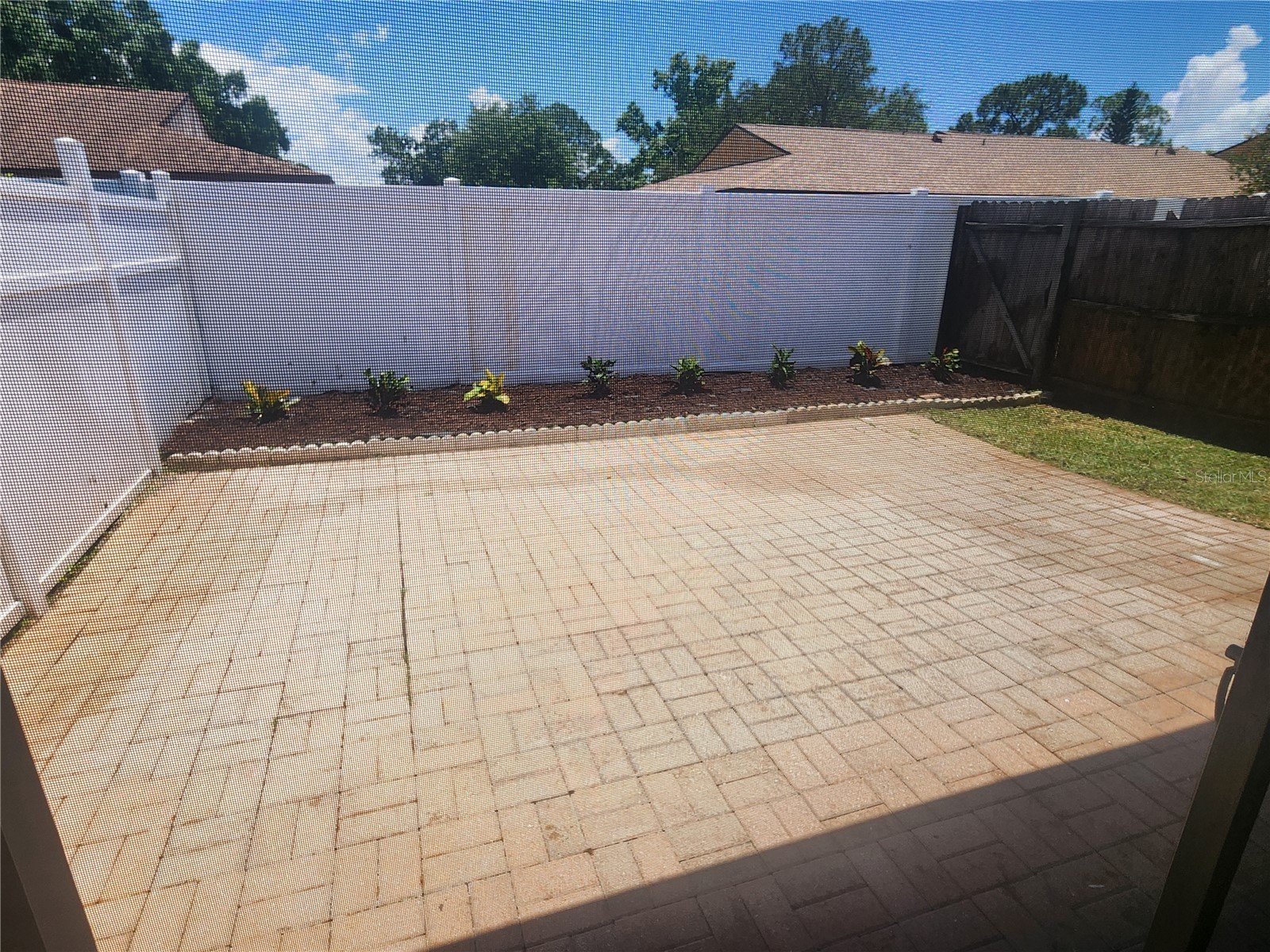 209 Corkwood Ln Oldsmar FL 34677 TB8396745 image23