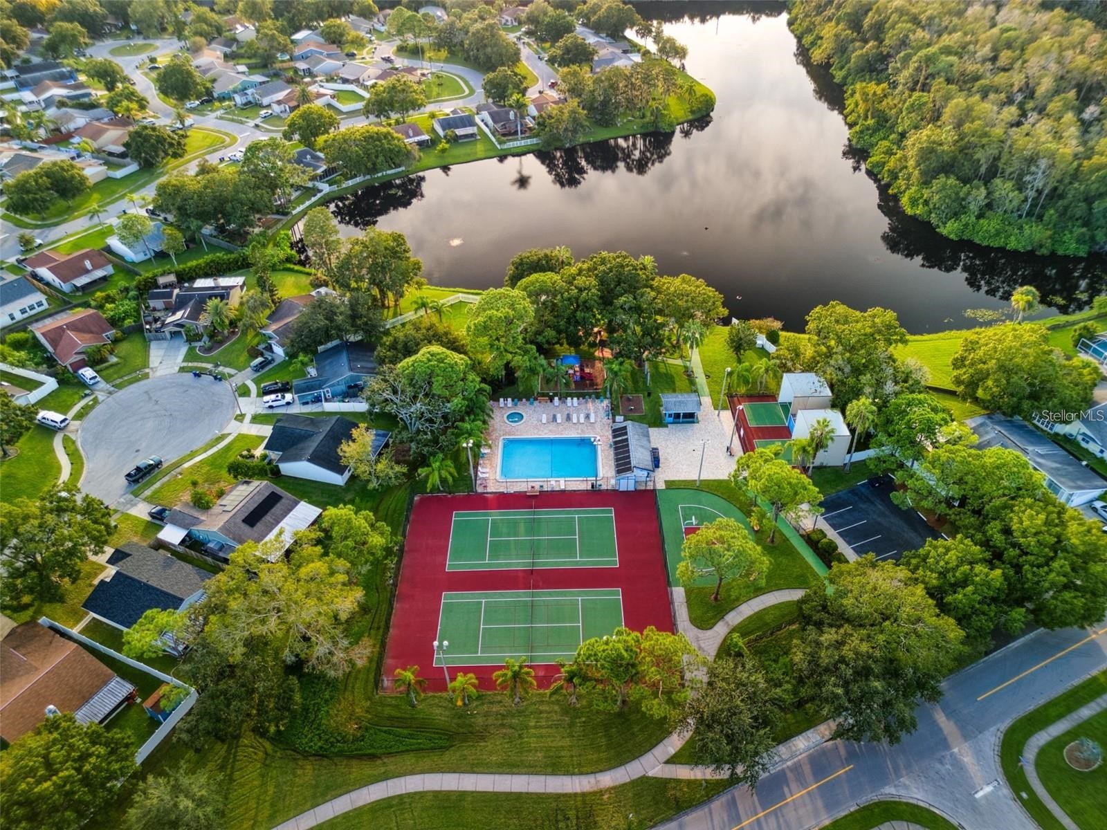 209 Corkwood Ln Oldsmar FL 34677 TB8396745 image26