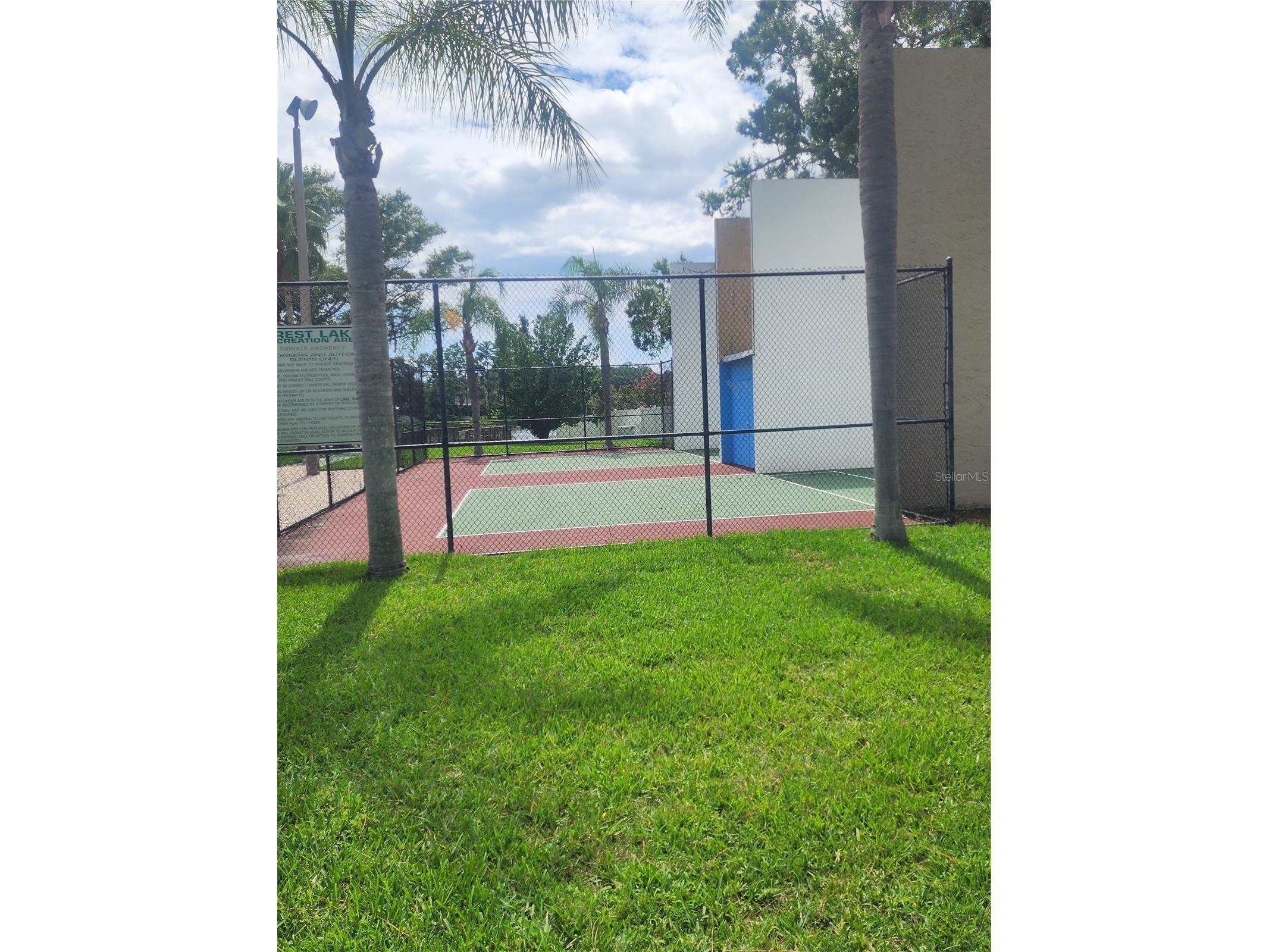 209 Corkwood Ln Oldsmar FL 34677 TB8396745 image28