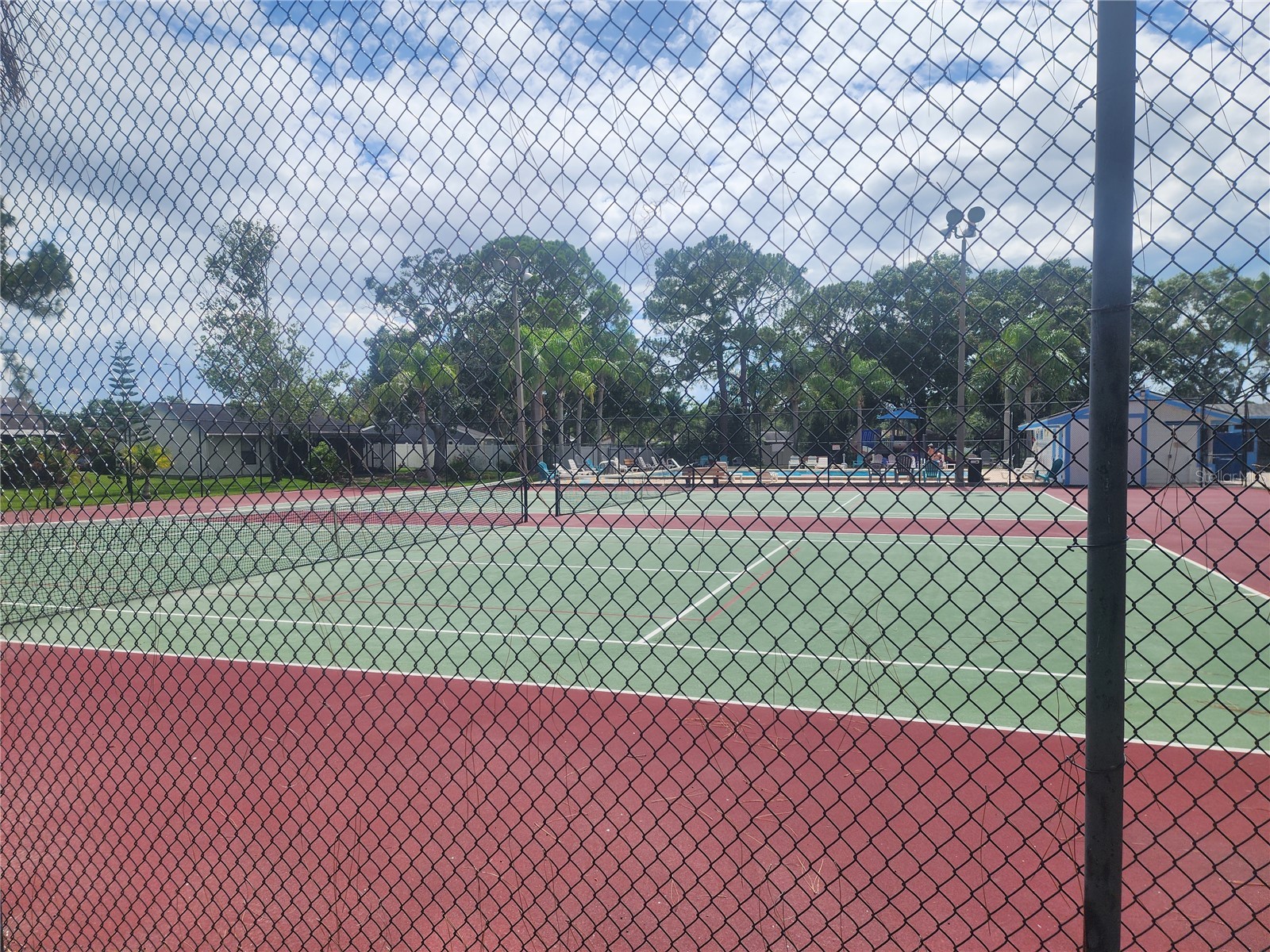 209 Corkwood Ln Oldsmar FL 34677 TB8396745 image30