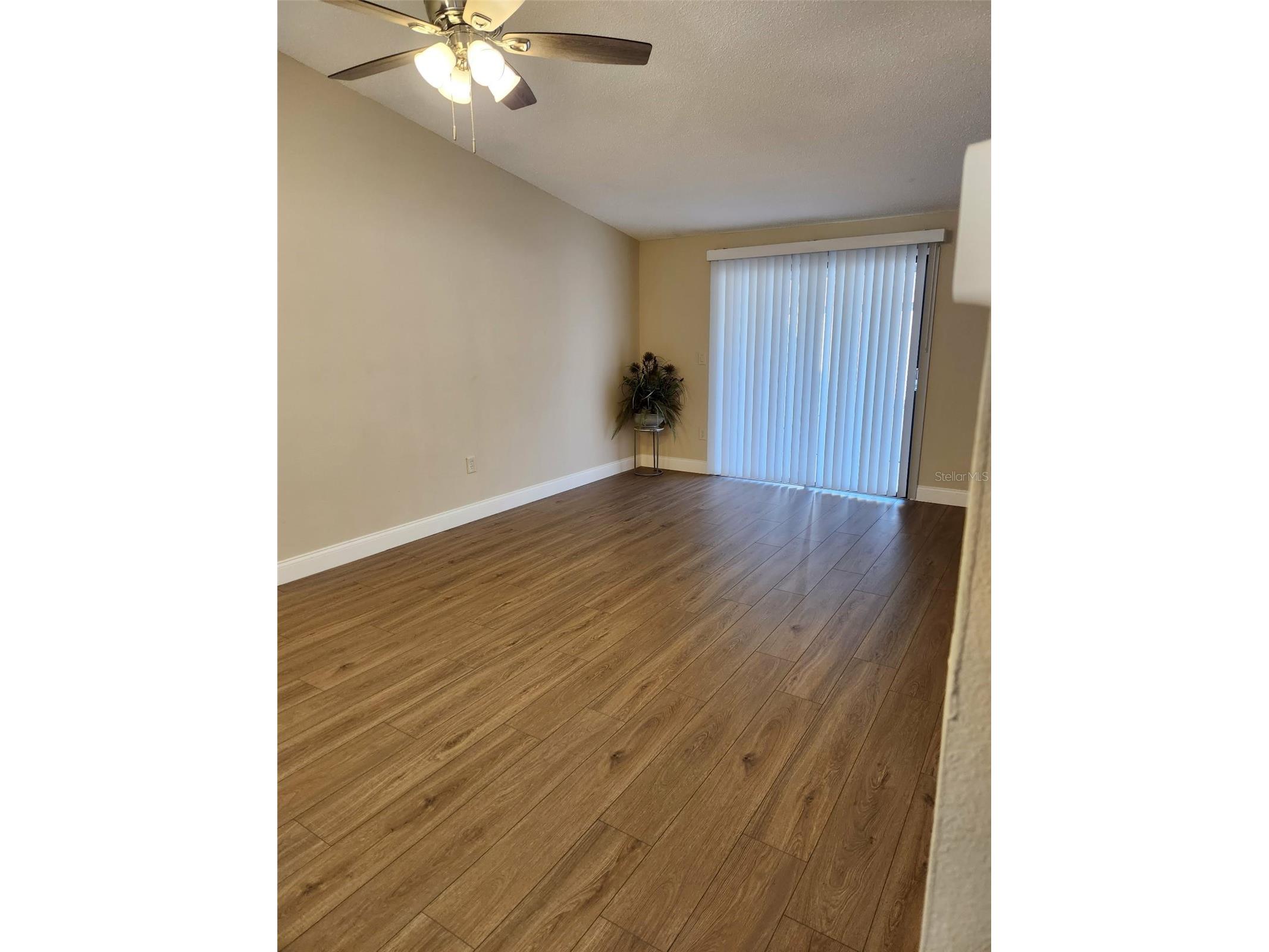 209 Corkwood Ln Oldsmar FL 34677 TB8396745 image4