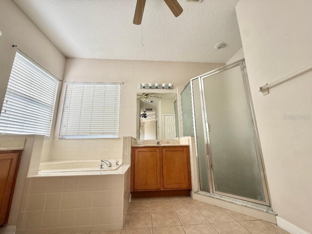 209 Corvina Drive Davenport FL 33897 O6360969 image15