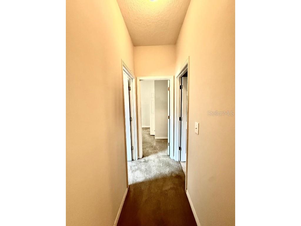 209 Corvina Drive Davenport FL 33897 O6360969 image17