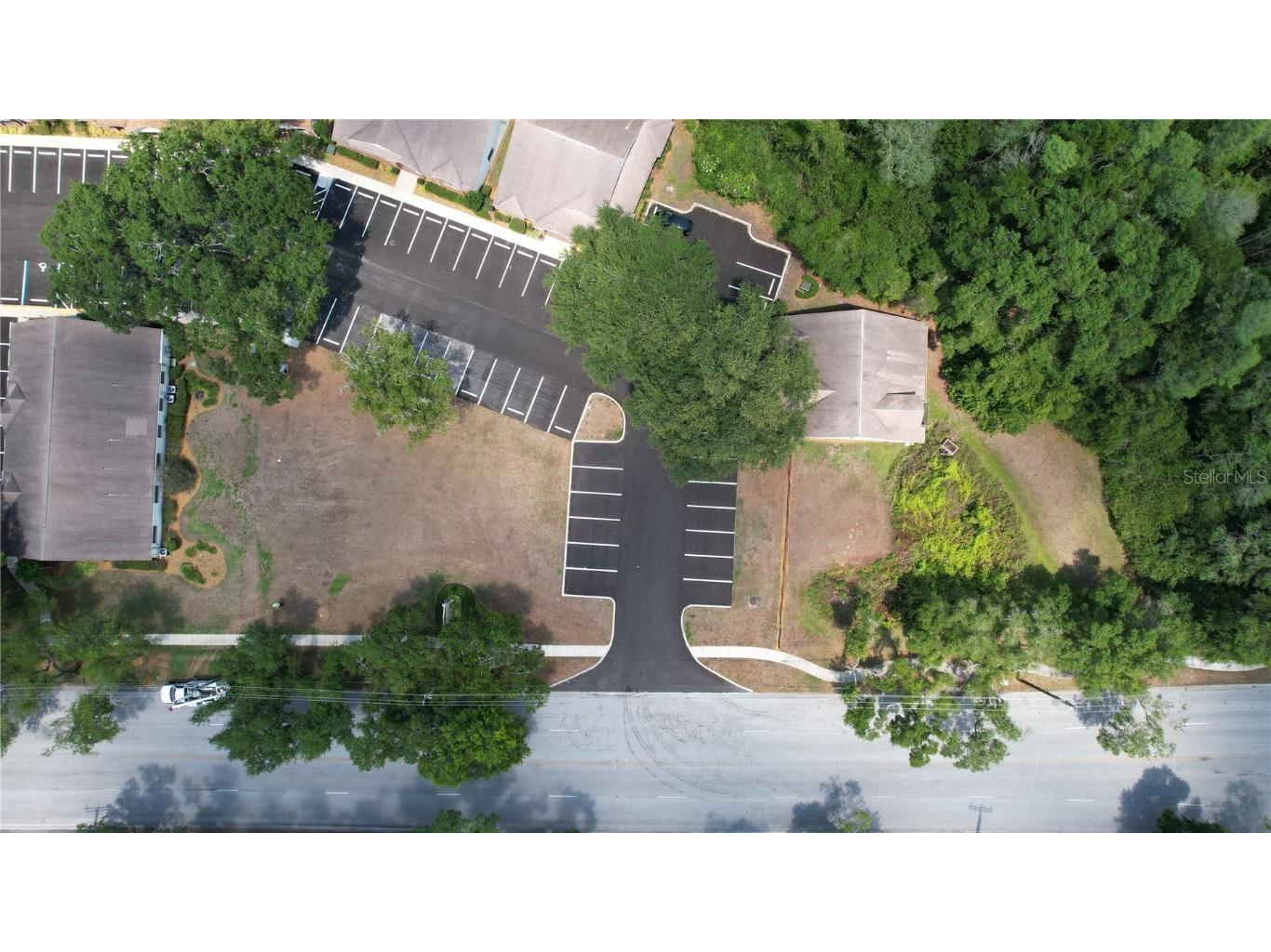 209 Crystal Grove Boulevard Lutz FL 33548 T3436393 image10