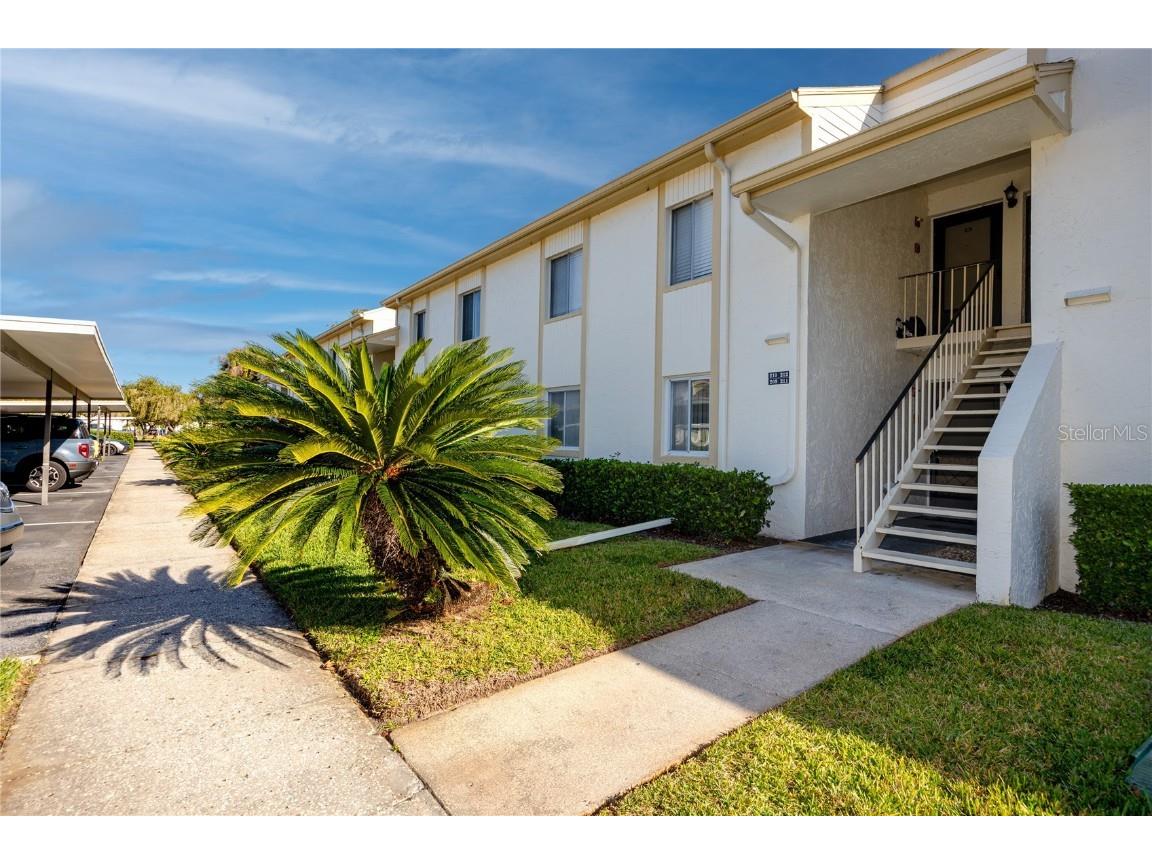 209 Cypress Court #209 Oldsmar FL 34677 TB8457055 image1