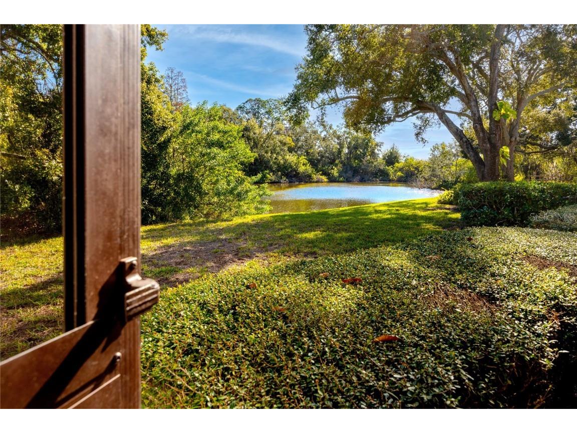 209 Cypress Court #209 Oldsmar FL 34677 TB8457055 image11