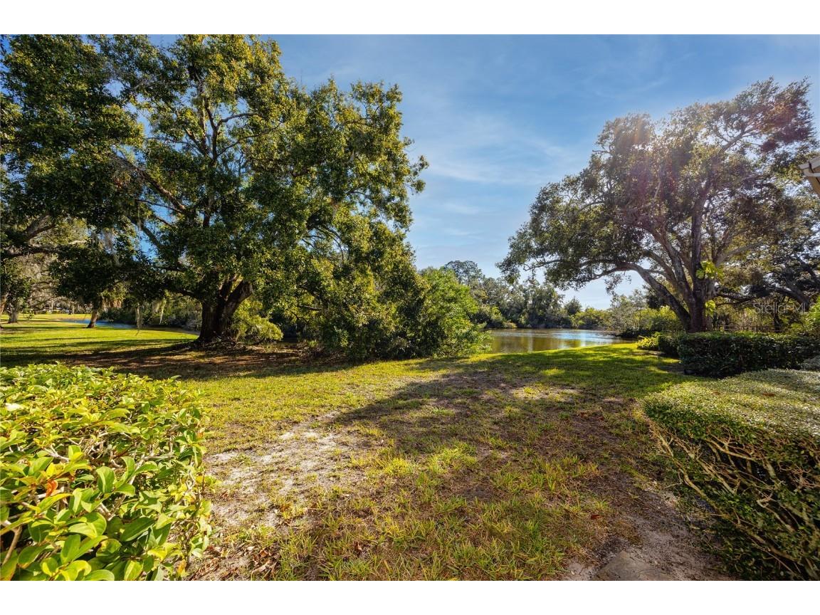 209 Cypress Court #209 Oldsmar FL 34677 TB8457055 image12