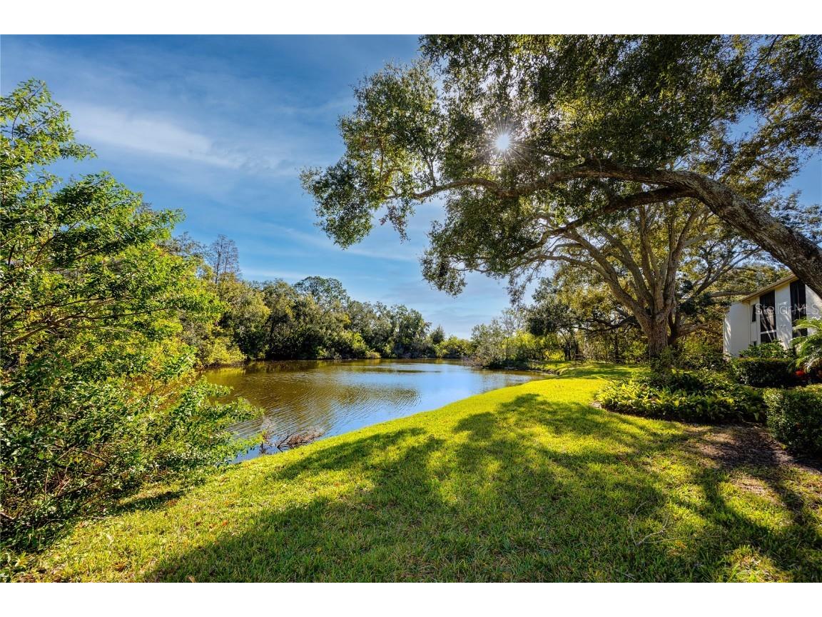 209 Cypress Court #209 Oldsmar FL 34677 TB8457055 image13