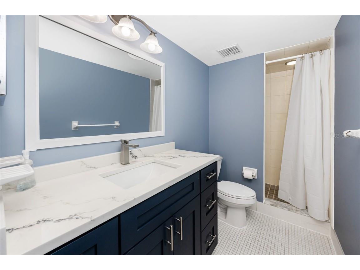 209 Cypress Court #209 Oldsmar FL 34677 TB8457055 image17