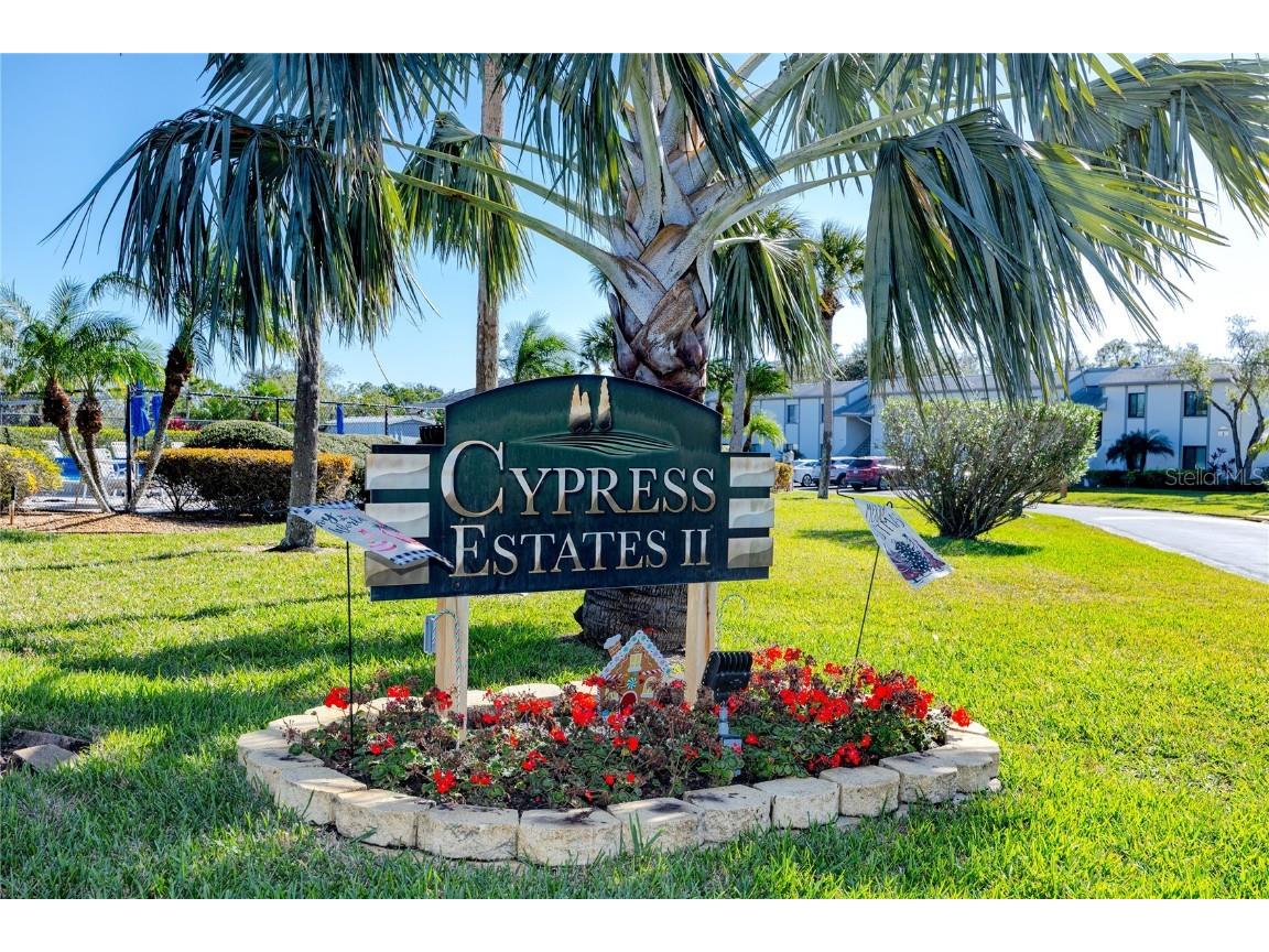 209 Cypress Court #209 Oldsmar FL 34677 TB8457055 image23
