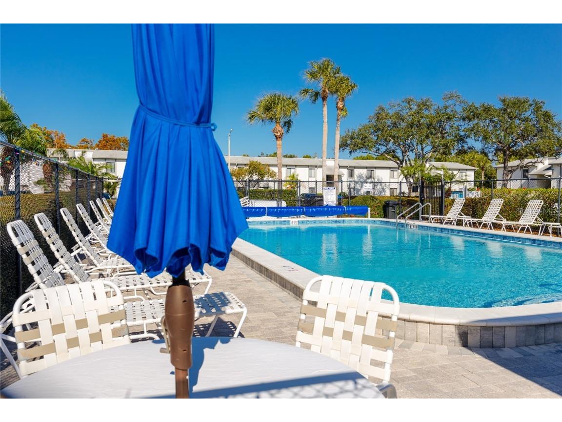 209 Cypress Court #209 Oldsmar FL 34677 TB8457055 image26