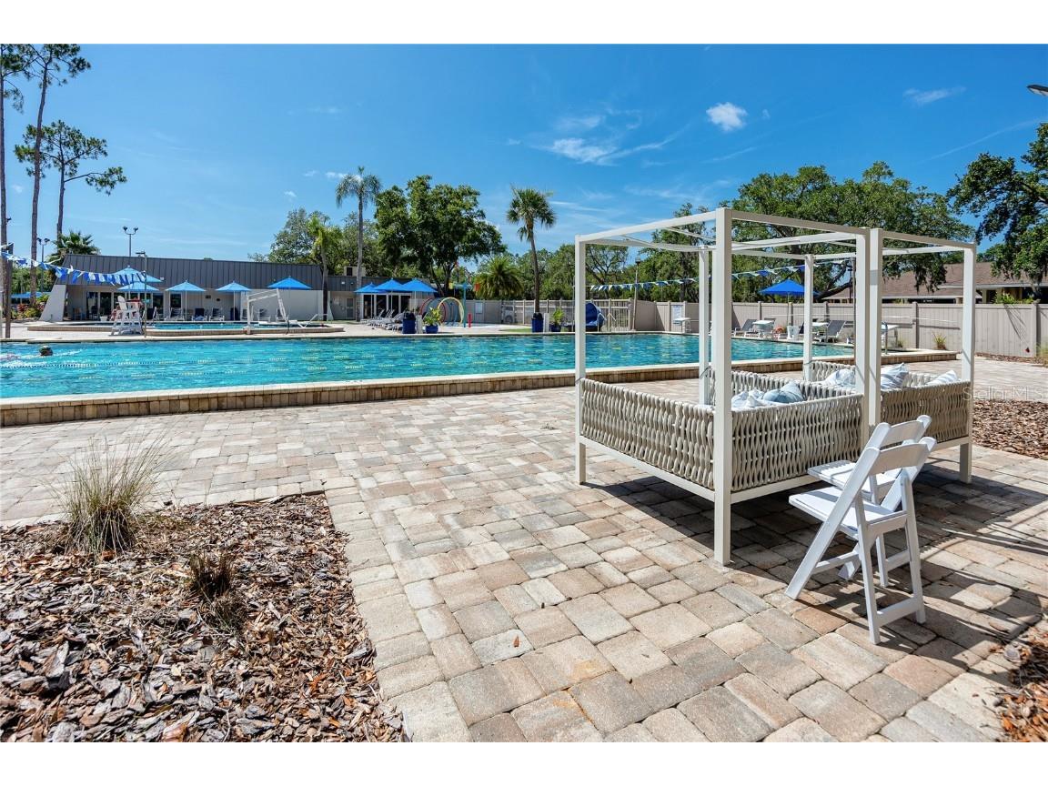 209 Cypress Court #209 Oldsmar FL 34677 TB8457055 image31