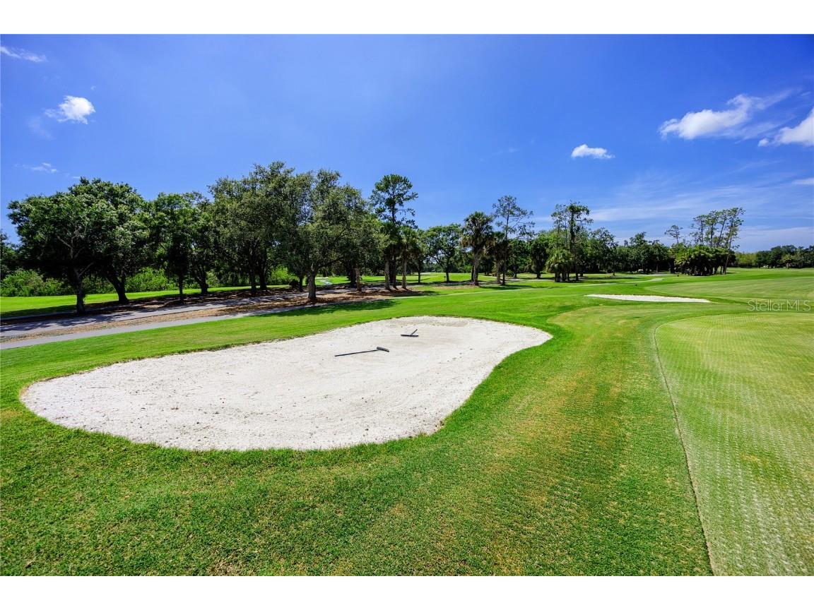 209 Cypress Court #209 Oldsmar FL 34677 TB8457055 image36